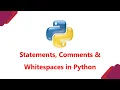 Tutorial 9 Statements Comments Whitespaces in Python Hindi LEARN2EARN LABS by Rohit Singh
