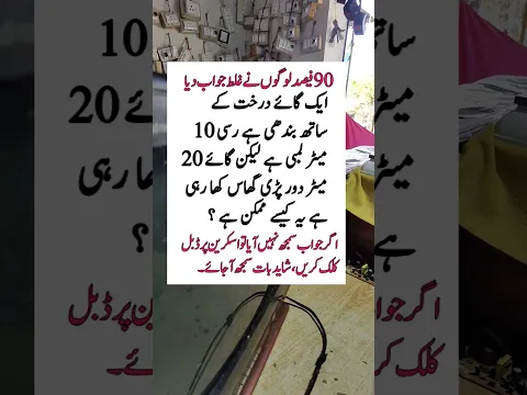 گائے درخت کے ساتھ بندھی ہے رسی 10