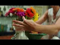 Our Tennessee Home | Trailer 1