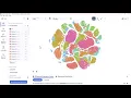 Loupe Browser Tutorial LATEST
