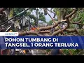 Download Lagu Detik-Detik Hujan Deras dan Angin Kencang di Tangsel, Pohon Tumbang 1 Orang Terluka | KOMPAS MALAM