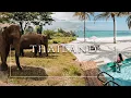 Download Lagu THAILAND | Cinematic Travel Video