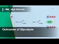 Outcomes of Glycolysis Bio Textbooks -