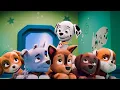 PAW Patrol Marshall And His Stumbles In The New Season