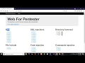 Web For Pentester PentesterLab XSS Example 7