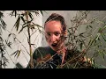 Tessa B. - Des Pages (Clip officiel confiné)