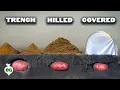 We Grew Potatoes 8 Different Ways Here s What Happened