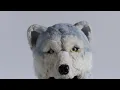 MAN WITH A MISSION - Raise your flag / THE FIRST TAKE