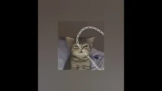 avicii waiting for love speed up