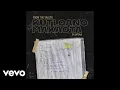 Lagu Kutloano Makaota - Nako (Official Audio)