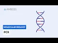 Polymerase Chain Reaction PCR DNA Amplification