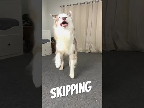 Skipping