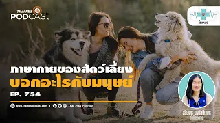 อาการปวดหัวที่เกี่ยวข้องกับออฟฟิศซินโดรมมีสาเหตุมาจากอะไรบ้าง