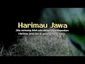 Lagu Harimau Jawa (jika bukan lepasan jenis lain)
