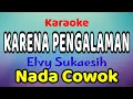 Download Lagu KARENA PENGALAMAN Karaoke Nada Cowok Elvy Sukaesih