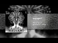 Meshgrid - Voyager 1 Demo