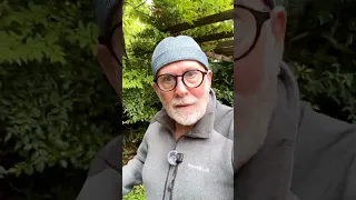 Why May Can Be Difficult in Japan
