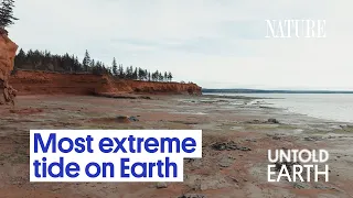 This Bay Moves 100 Billion Tons of Water Every Day