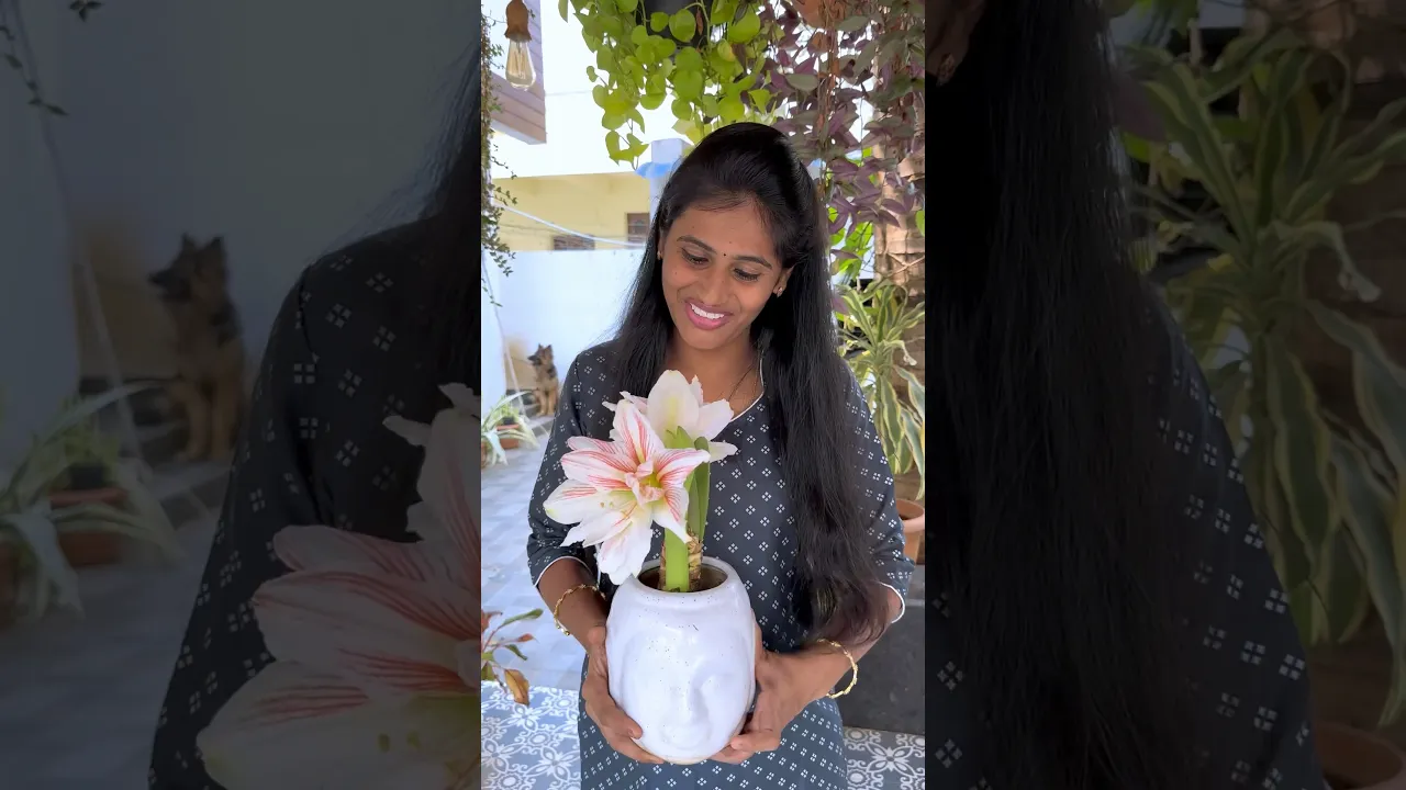 Beautiful Flower😍