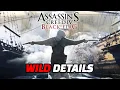Download Lagu Assassin’s Creed Black Flag Remake LEAKS!