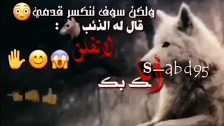 حالات واتساب الذئب والثعلب 