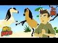 Download Lagu Wild Pony Stallion Showdown | Creature Combat | Animals for Kids | Wild Kratts