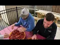 Crawfish on wheels as Louisiana s Boil Bus pulls in to park in Harahan