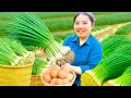 Download Lagu Harvest Giant Scallion Garden to Sell at Market - A Simple Day with Single Mom | CTD Free Bushcraft