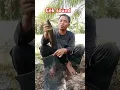Download Lagu cek sound.. wkwkwk #fishing #mamcingliar #mancing #mancingmantap #ikan #mancingmania #mancingceria