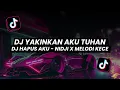 Download Lagu DJ YAKINKAN AKU TUHAN | DJ HAPUS AKU - NIDJI X MELODI KECE BOOTLEGG VIRAL SOUND TIKTOK TERBARU 2023