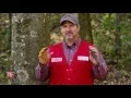 Tips for a Successful Bowhunt