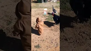 شاهد للنهايه ماذا سيفعل الديك الرومي مع احمد 