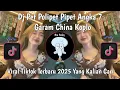 Download Lagu DJ PET POLIPET PIPET ANGKA 7 | REMIX  GARAM CHINA BUDAK CIAMIS SOUND VIRAL TIKTOK TERBARU