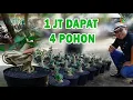 Download Lagu \