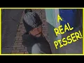 Download Lagu A Real Pisser: Public Urination on My Property in Wilkes-Barre, PA