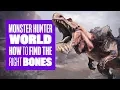 How to find bones in Monster Hunter World Monster Hunter World PS4 gameplay