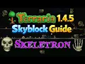 Terraria 1 4 5 Skyblock Guide How to Summon Skeletron