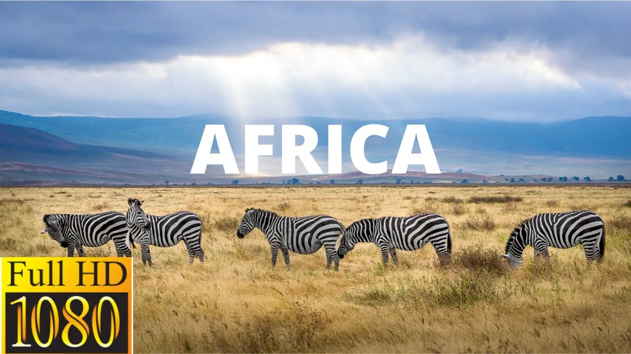 Africa 4K - Scenic Relaxation Film With Calming Music