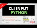 Recursion Validate input Python