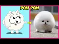 Bluey Real Life