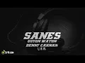 SANES - GUYON WATON X DENNY CAKNAN(LIRIK LAGU)