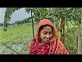 Download Lagu কিছু মানুষের কারনে গ্রামে থাকা অসম্ভব হয়ে পড়েছে 😭