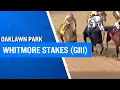 2026 250 000 Whitmore Stakes G3 at Oaklawn Park