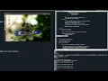Linux kernel Debug using qemu and gdb from host