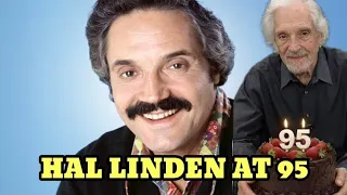 Barney Miller Star Hal Linden Turns 95 His Wild Story Behind the Show