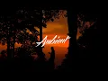 Oatmello - Willow Tree [ambient chill downtempo]