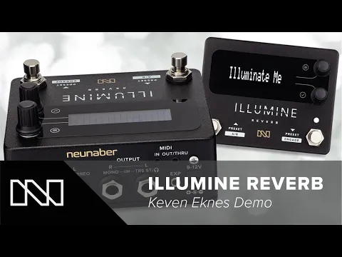 Neunaber Illumine Stereo Multi-Reverb | Delicious Audio