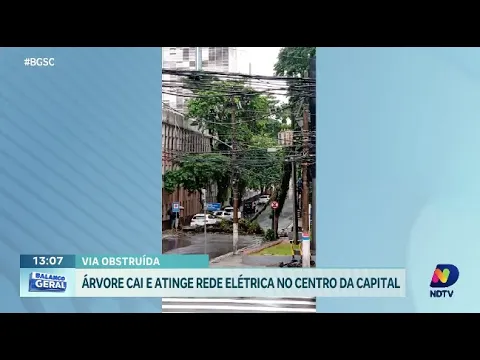 Via obstruída: árvore cai e atinge rede elétrica no Centro de Florianópolis