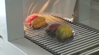                                                                                                  دندنها