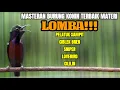 Download Lagu TEMBAKAN TERBAIK KOLIBRI NINJA FULL ISIAN LOVEBIRD PELATUK CILILIN CIBLEK